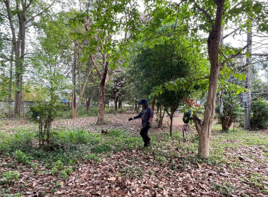 กิจกรรม “บ้านเมืองสะอาด บูชาคุณย่าโม” พารามิเตอร์รูปภาพ 26